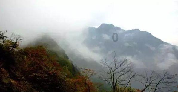 好好的血管，怎么说堵就堵？游戏画面